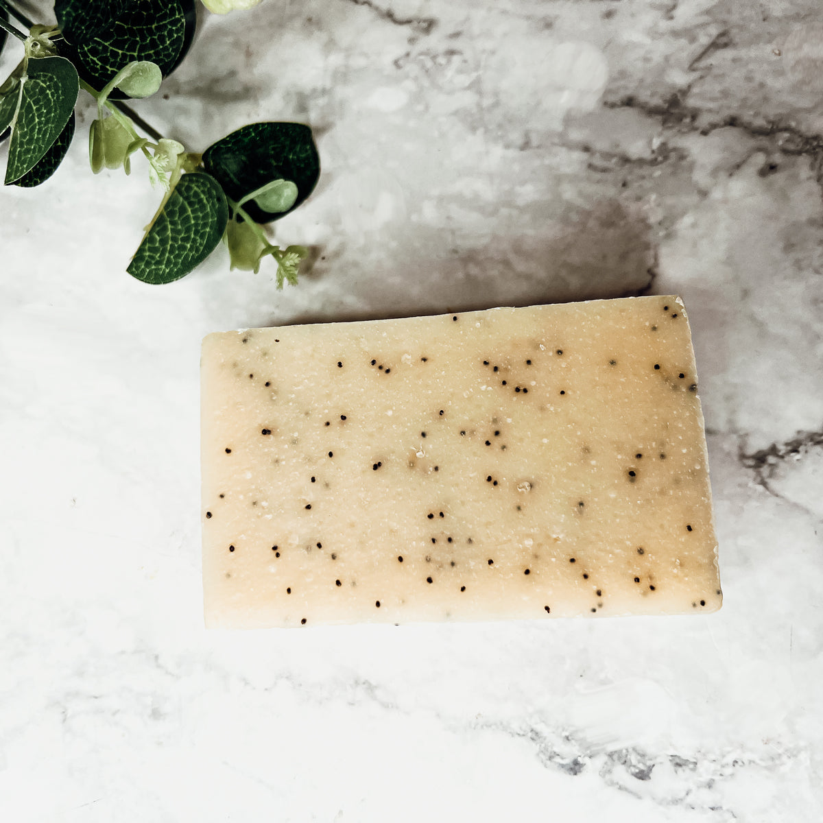 Poppy Seed Exfoliant-Olive-Sunflower