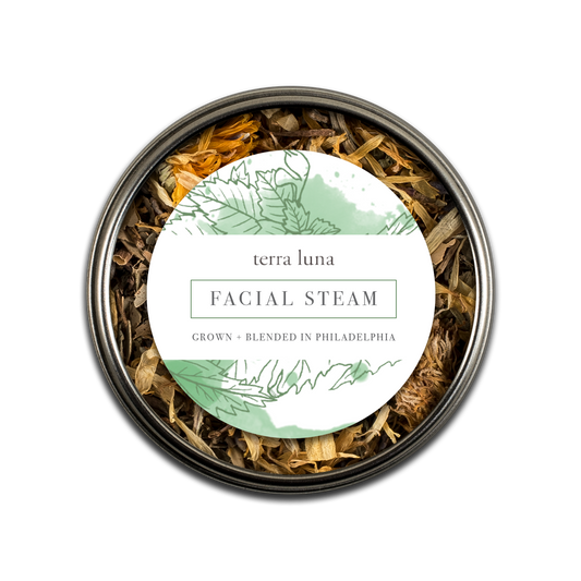 Facial Steam