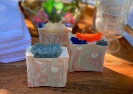 Berry Clean Succulent Soap Made With Essential Oils