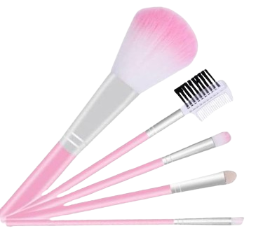 Beautylia Cosmatics Private Limited Makeup Brushes Professional 5Pcs