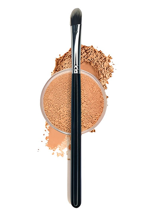 NyZAA Orange Concealer Brush Perfect for Conceal on All face